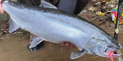 8-Hour Bank Fishing Trip — Hebo, OR