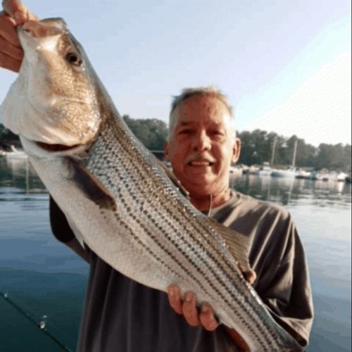 Jim Carter