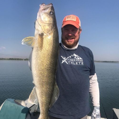 Brad Petersen