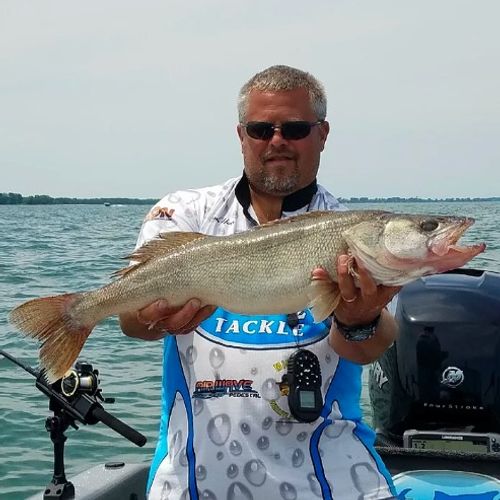 Jason Harr