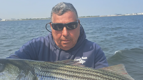 Vinnie Calabro