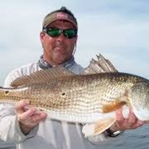 Ron Schurr