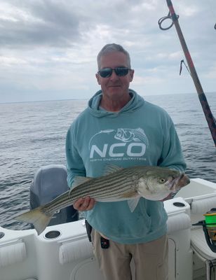 Magnanimous Sport Fishing  in Cape Cod