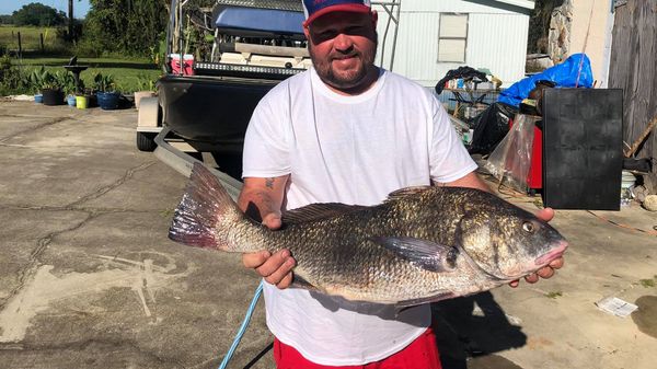 Cedar Key Fishing Charters