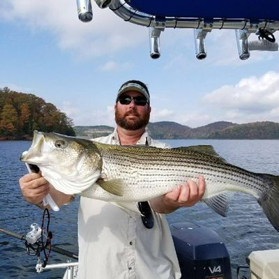 No Excuses Striper Fishing On Lake Lanier in Lake Lanier