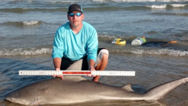 Gulf Coast Families Land Base Shark Fishing