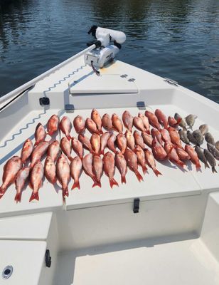 Kings Fishing Charters in Pensacola, FL, USA