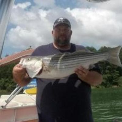 Cherokee Lake Fishing Charter in Cherokee Lake