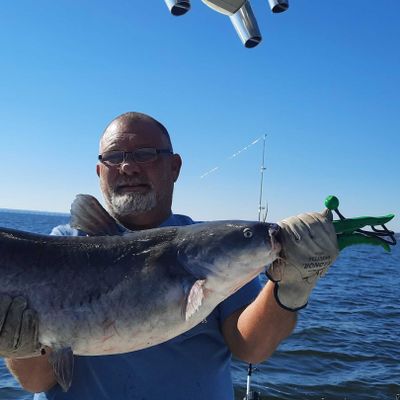 Fish Head Water Sports in Lake Conroe