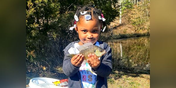 Lake Anna Crappie Fishing Trip | 6 Hour Weekend Trip