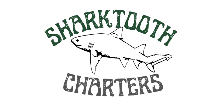 Discover Galveston's Fish Species with SharkTooth Charters!