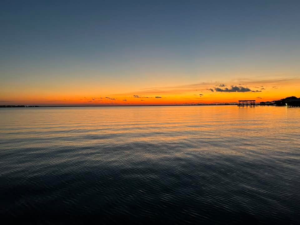 Galveston Fish Species What We Fish For