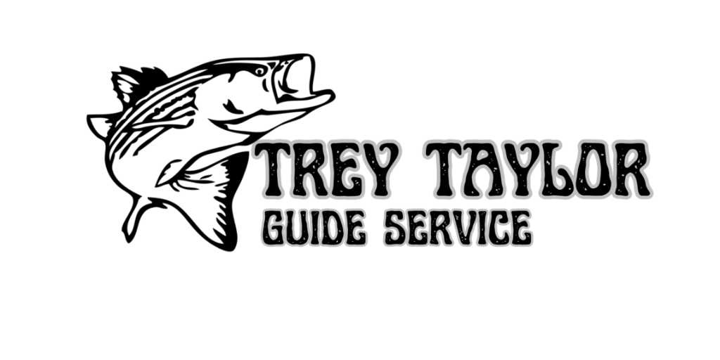 Fish Species in Tennessee's Waters