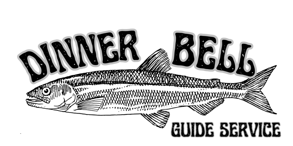 Anchorage Fishing Charters Dinner Bell Guide Service