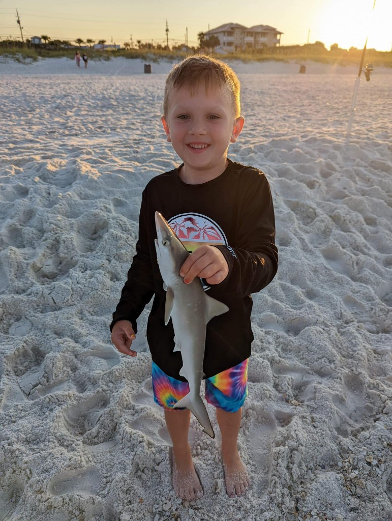 Atlantic Sharpnose Shark caught while fishing in Panama City Beach