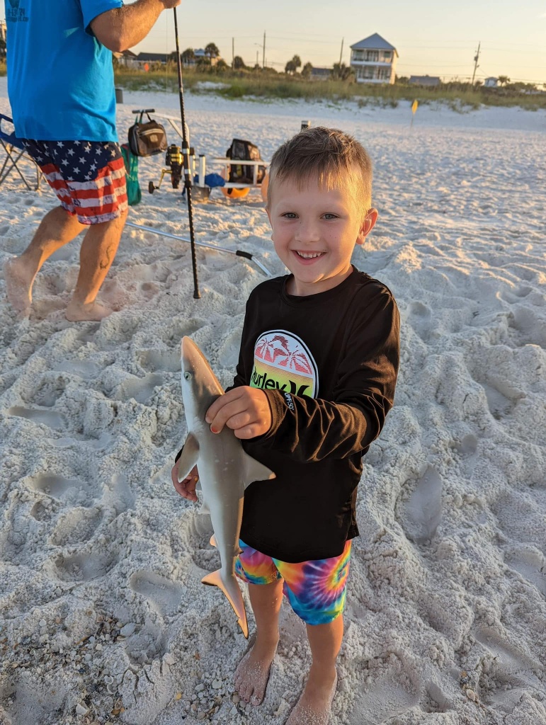 A fisherman catches a single Bonnethead Shark on the beach in Panama City Beach.