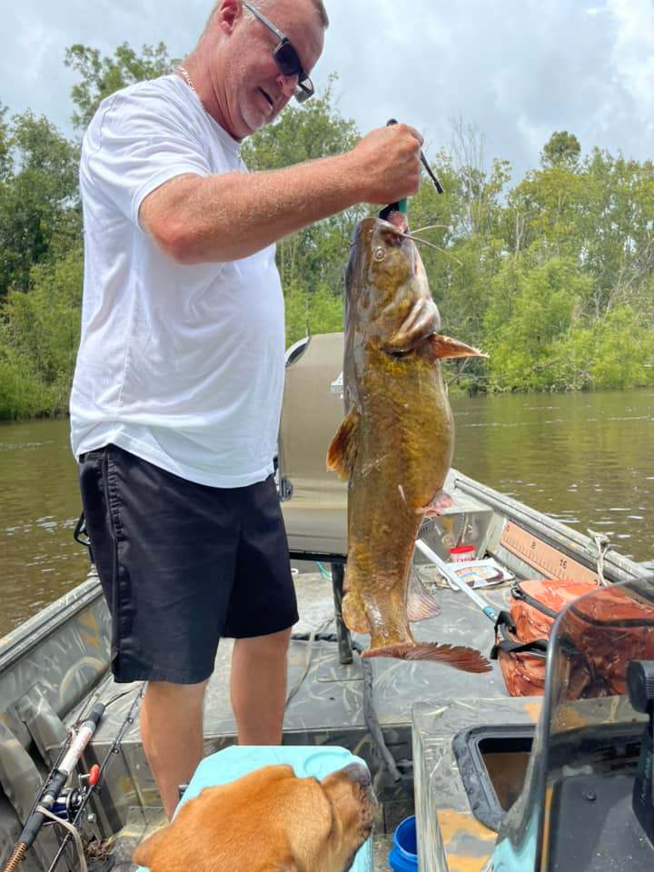 Wels catfish caught in Florida during fishing