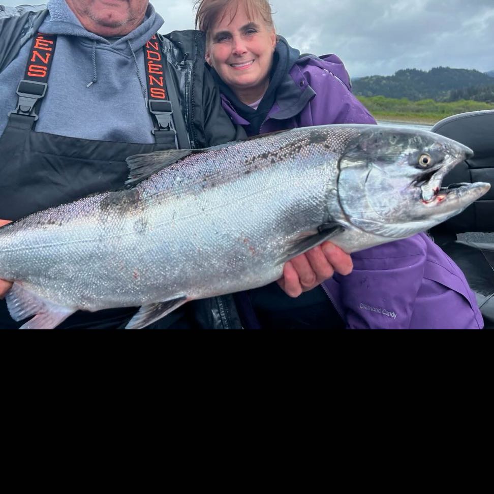Chum Salmon in OR