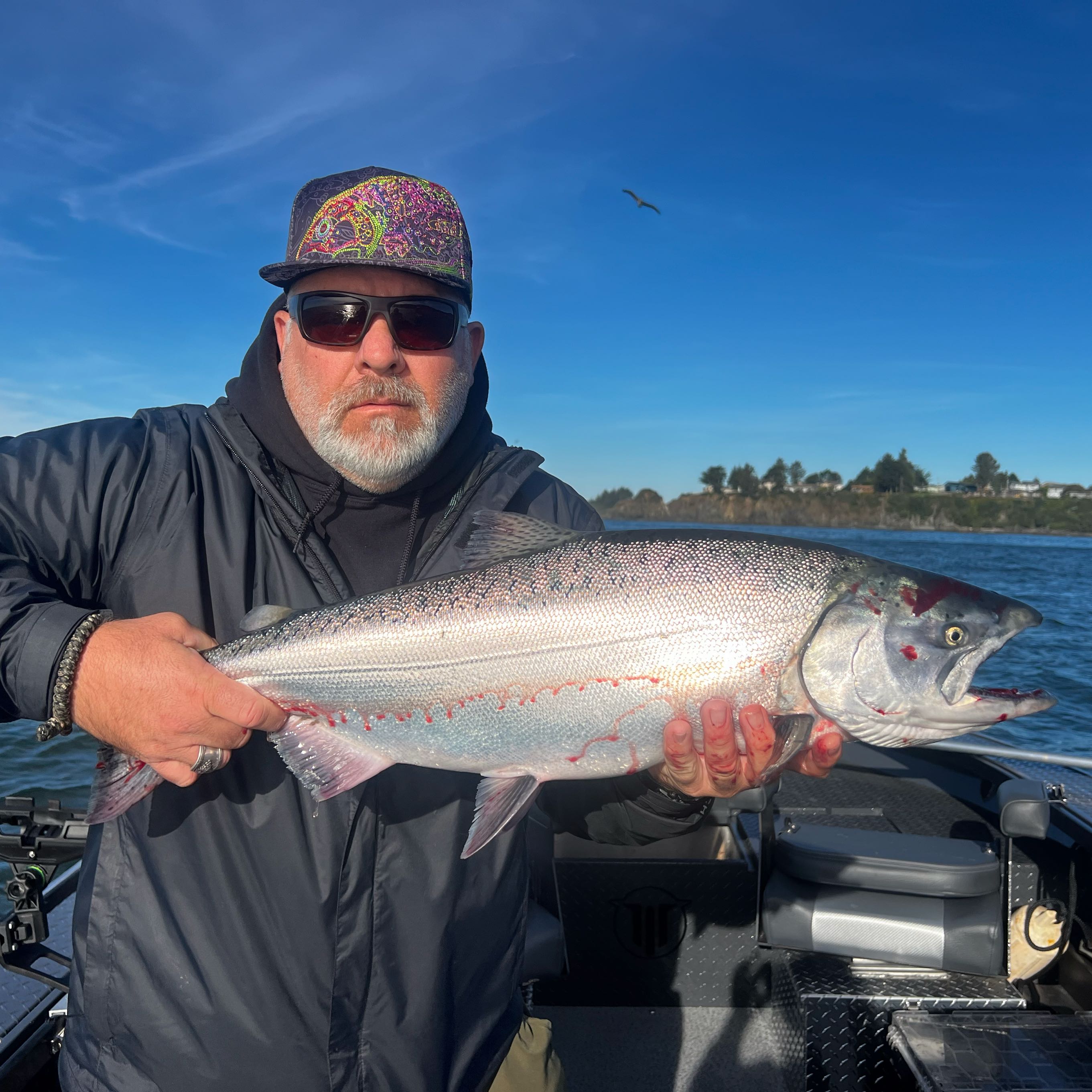 Coho salmon, fishing in OR