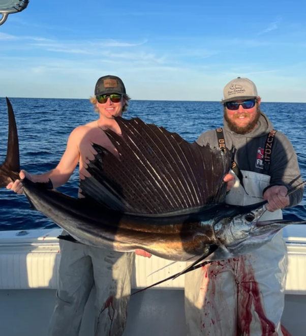 Exciting photo of a large Atlantic Sailfish caught while fishing in Key West