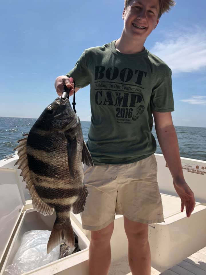 Sheepshead fish caught at Grand Isle