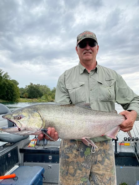 Large Chinook salmon catch displayed on fishing boat in Anderson CA