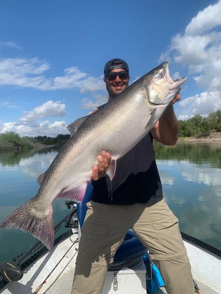 Large Chinook salmon caught while fishing in Anderson CA