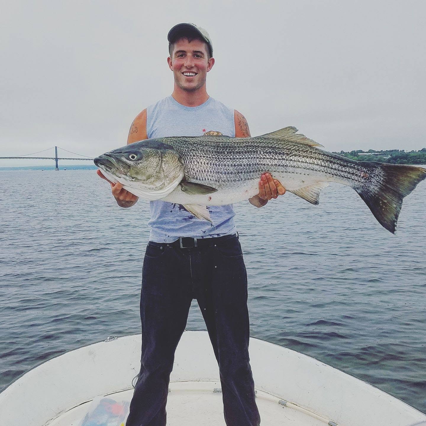 Large striped bass caught while fishing in New Bedford MA waters