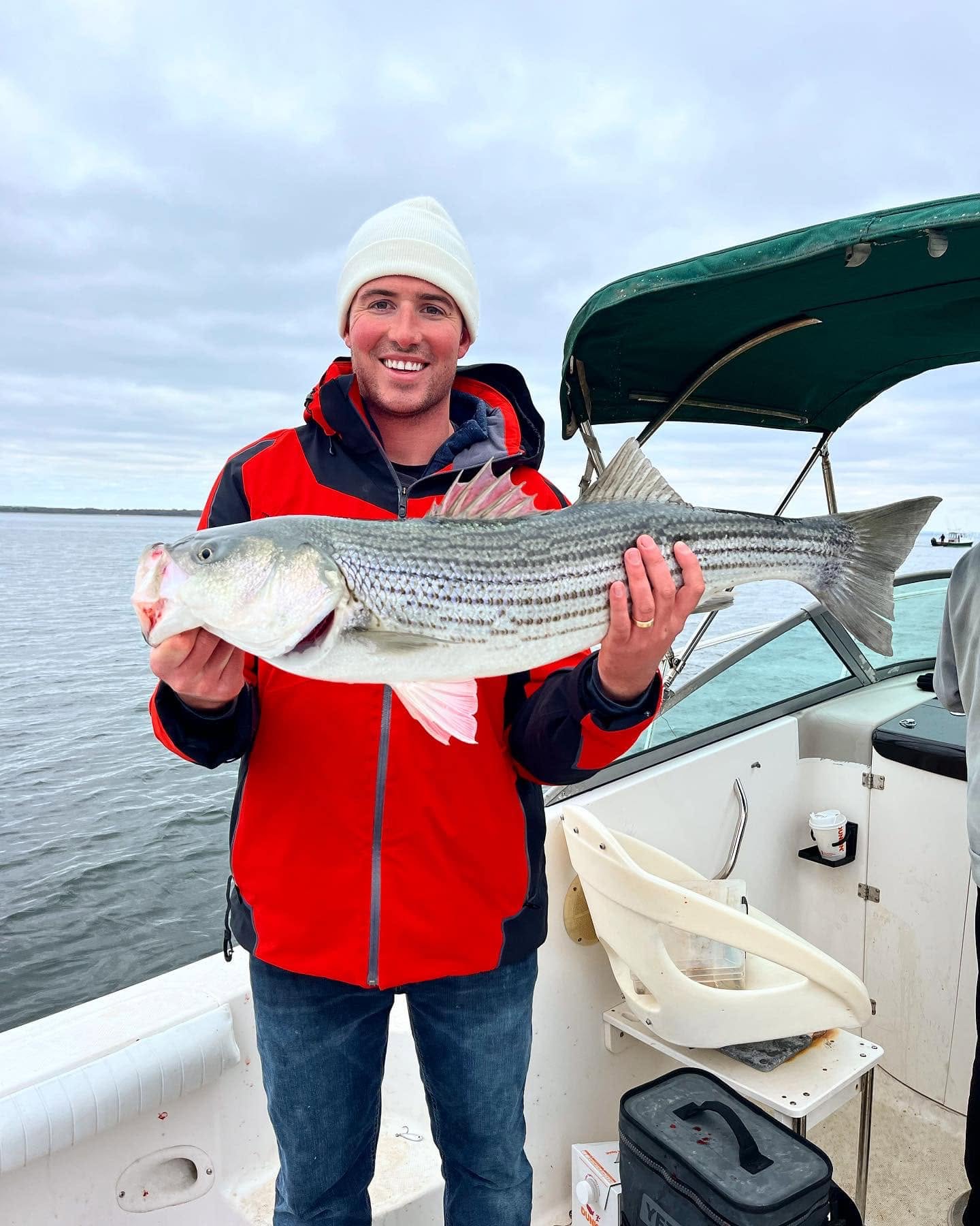 Striped bass catch held on fishing boat in New Bedford MA waters