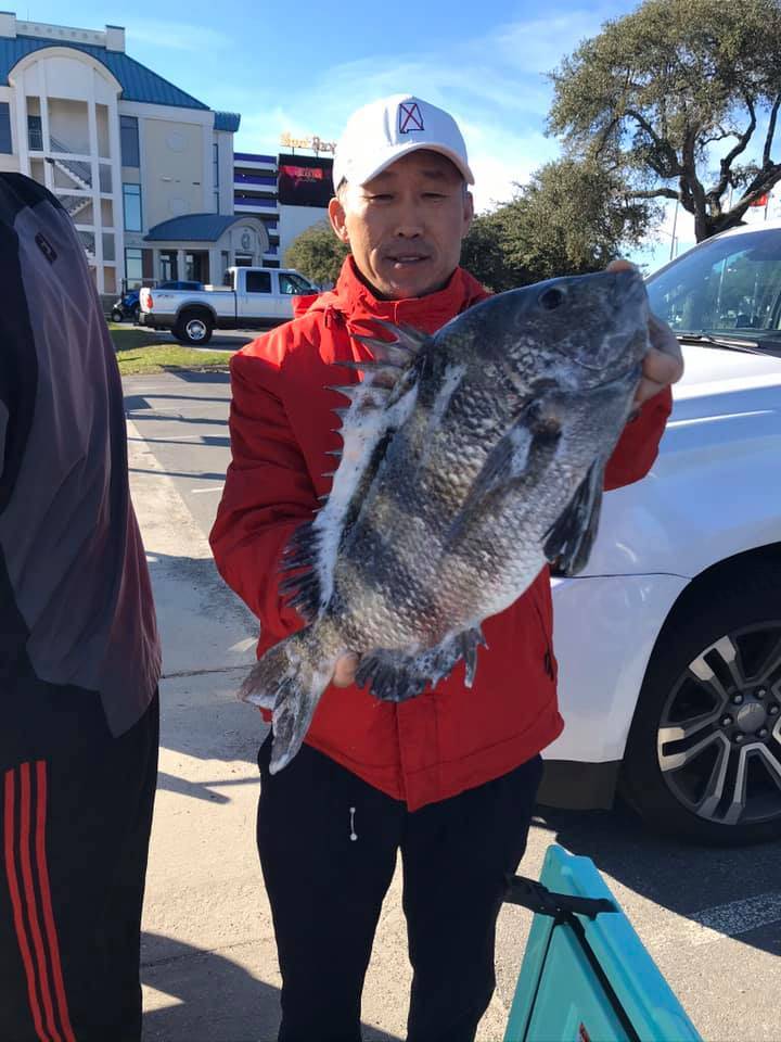 Sheepshead fish caught in Biloxi