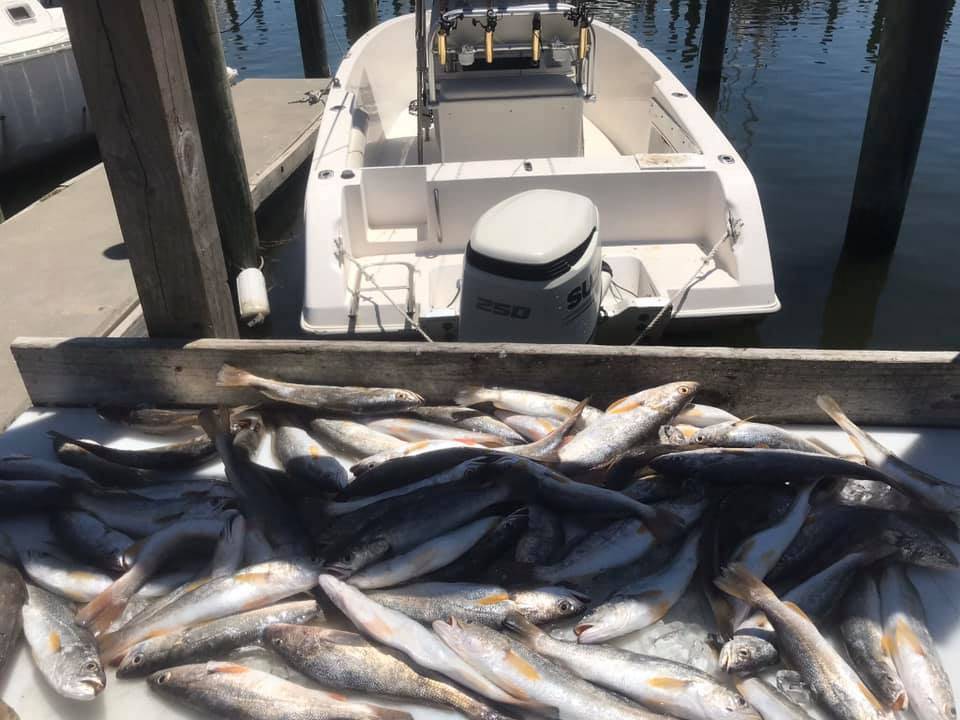 Fishing in Biloxi