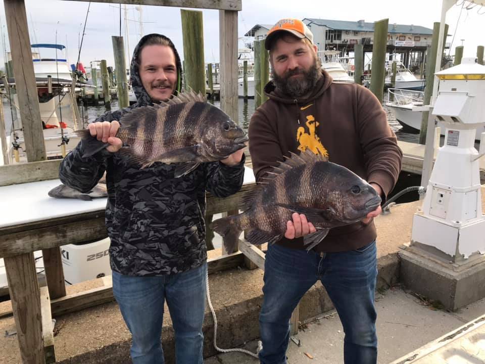 Two Sheepshead fish caught in MS