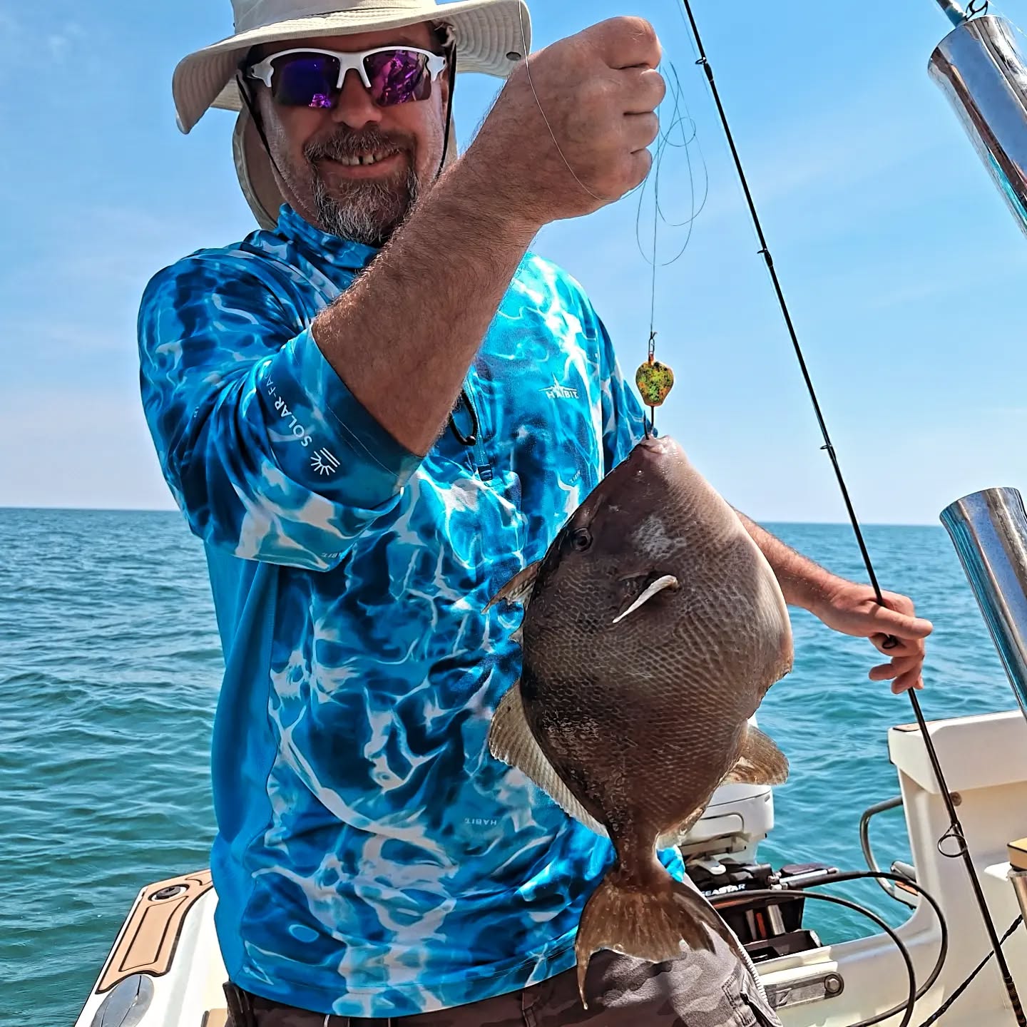 Grey triggerfish caught during fishing charter in Wanchese NC waters