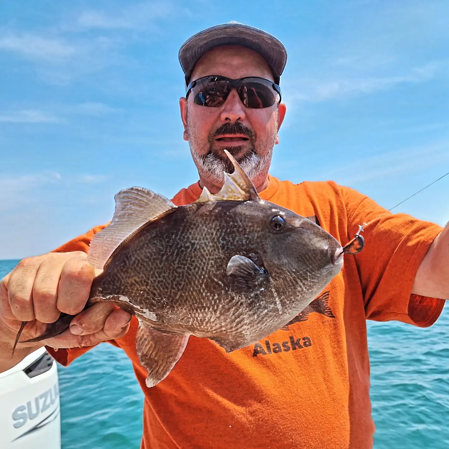 Grey triggerfish caught during fishing charter in Wanchese NC