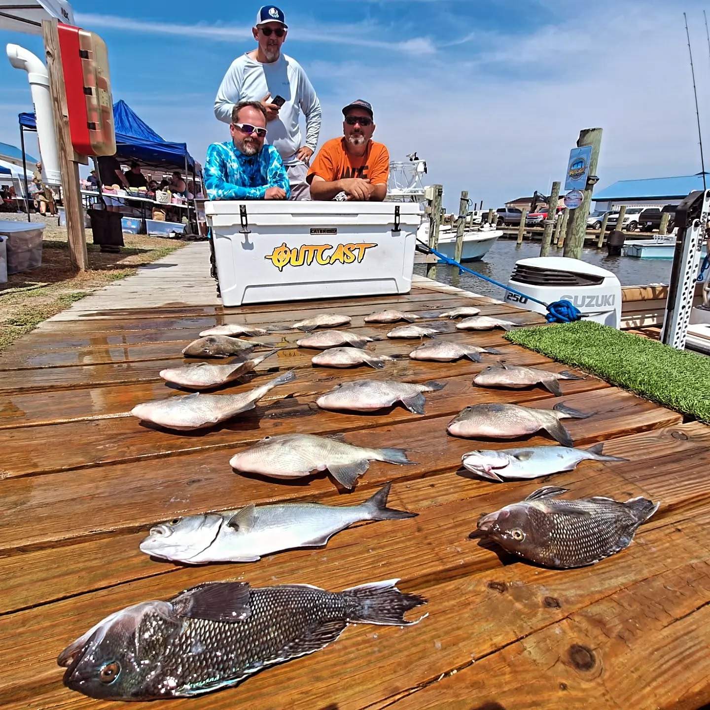 Successful fishing trip displaying Black Sea Bass, Bluefish, and Grey Triggerfish catch on wooden dock in Wanchese NC