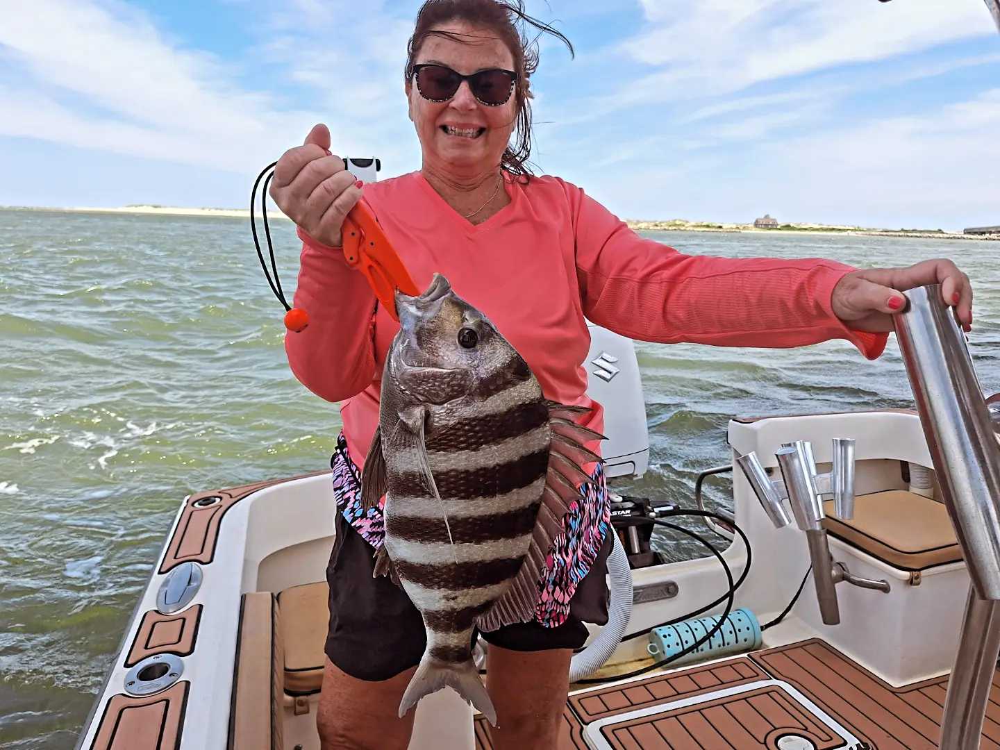 Freshly caught sheepshead fish displayed on fishing boat in Wanchese NC waters