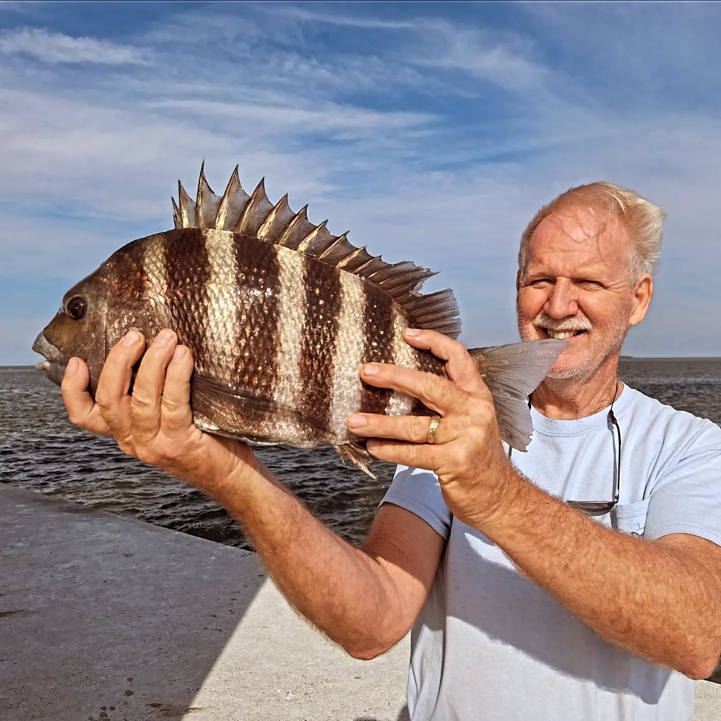 Freshly caught sheepshead fish being held up during fishing charter in Wanchese NC