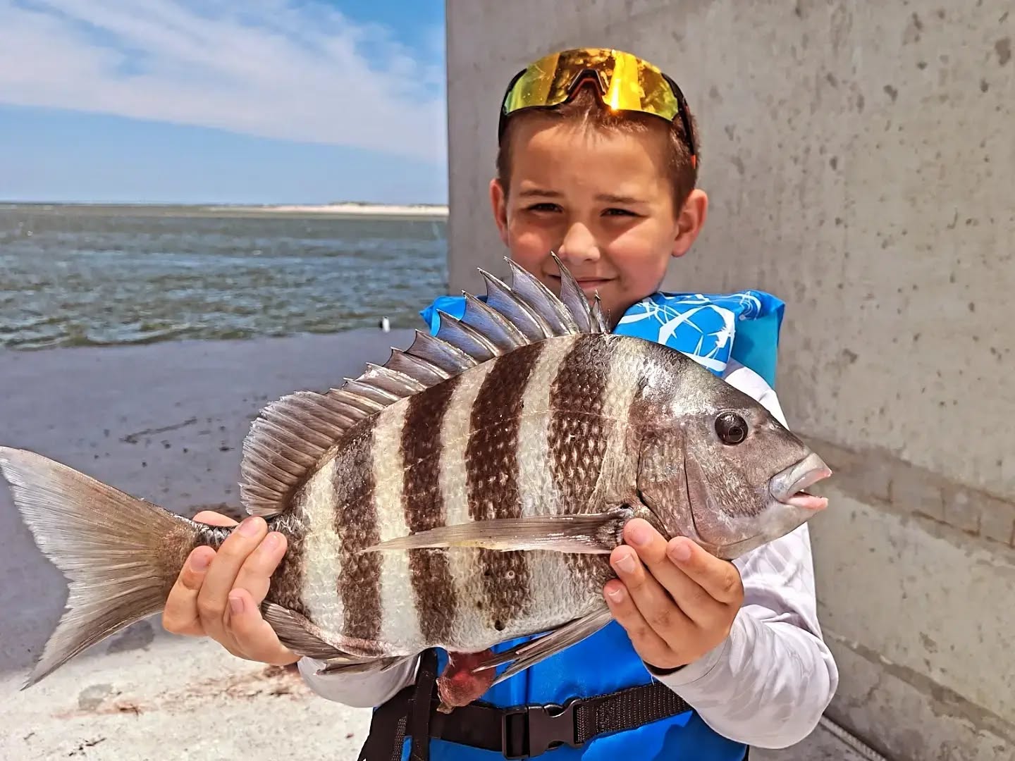 Sheepshead fish caught during fishing charter in Wanchese NC