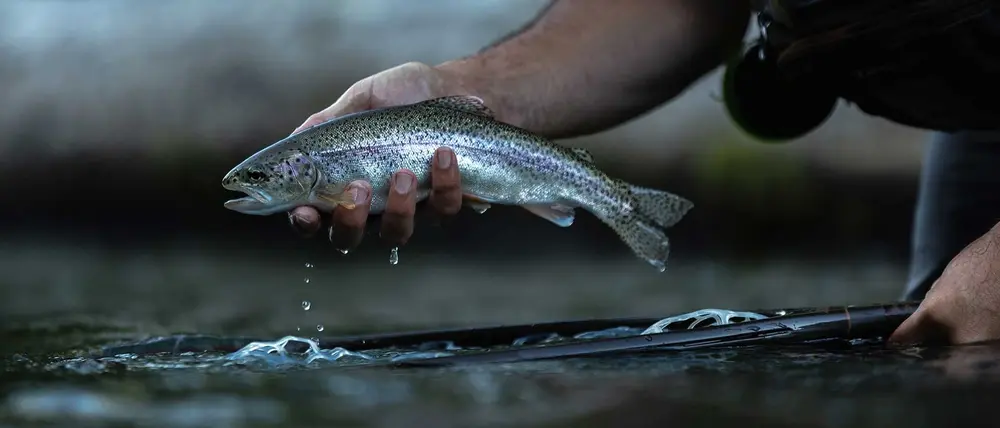 Snoqualmie River trout fishing guide with angler casting fly rod in mountain stream Washington
