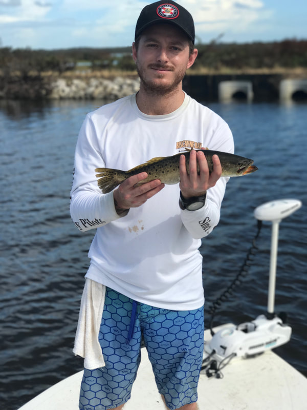 Spotted weakfish, 14 inches, caught in FL