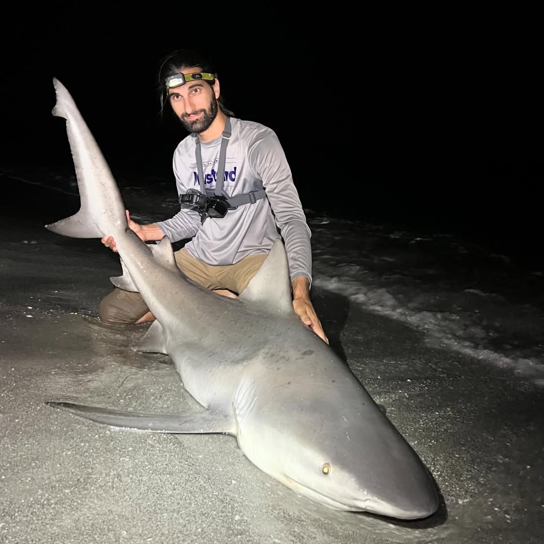 Sandbar shark caught fishing in FL