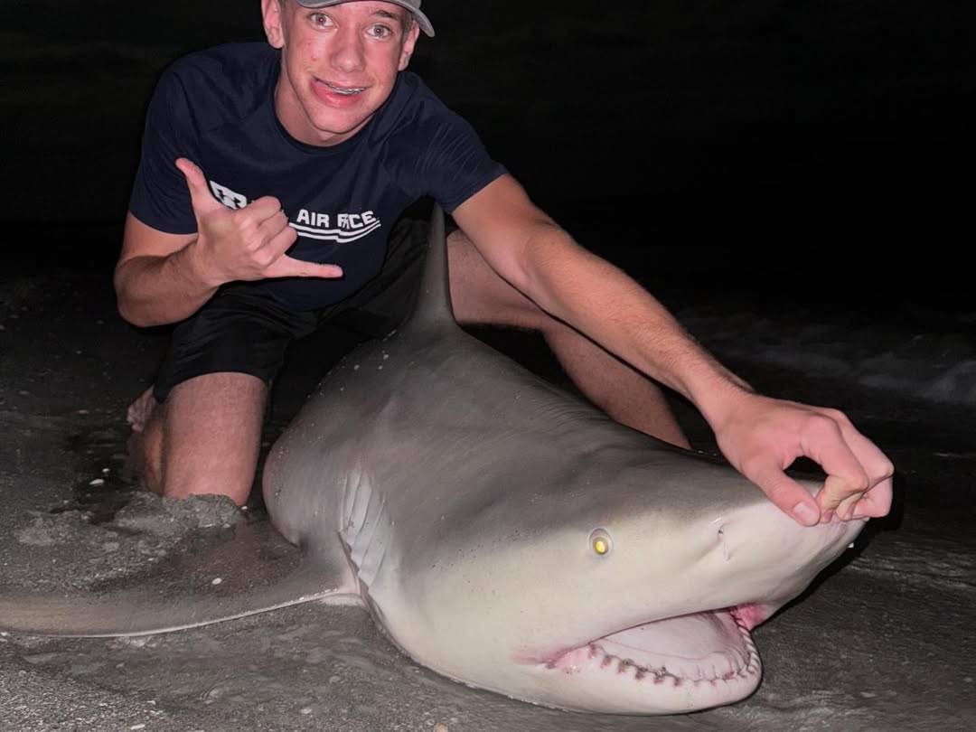 Blacktip shark caught while fishing in FL