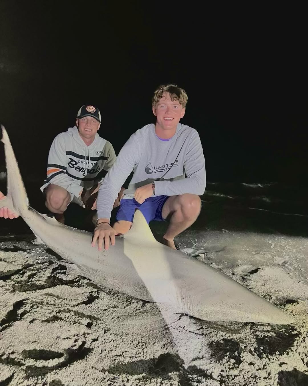 A blacktip shark in the water off the coast of Florida