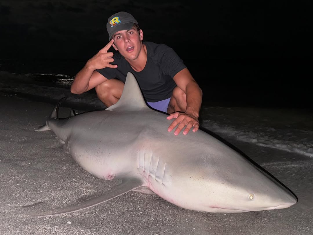 Bull shark fishing in FL