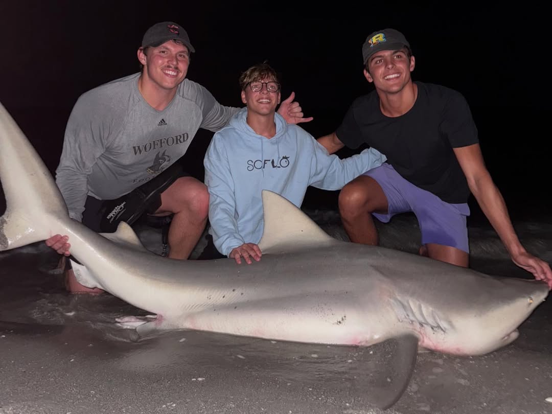 Bull shark caught while fishing in FL