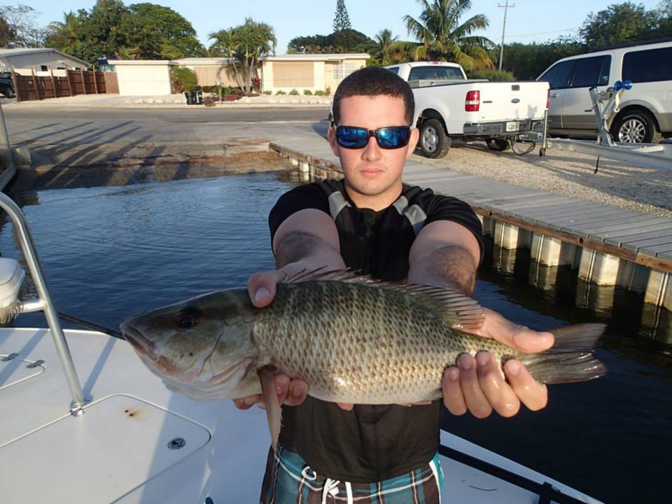 Grey snapper, 29 inches, fishing in FL