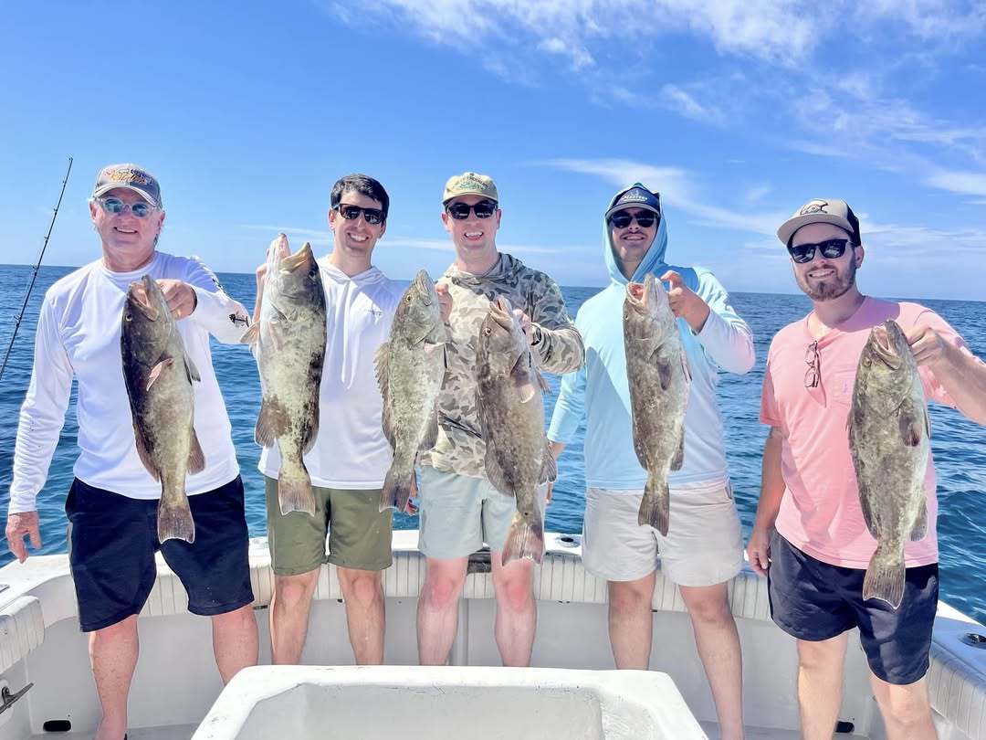 6 gag grouper fish caught in FL during fishing or tours