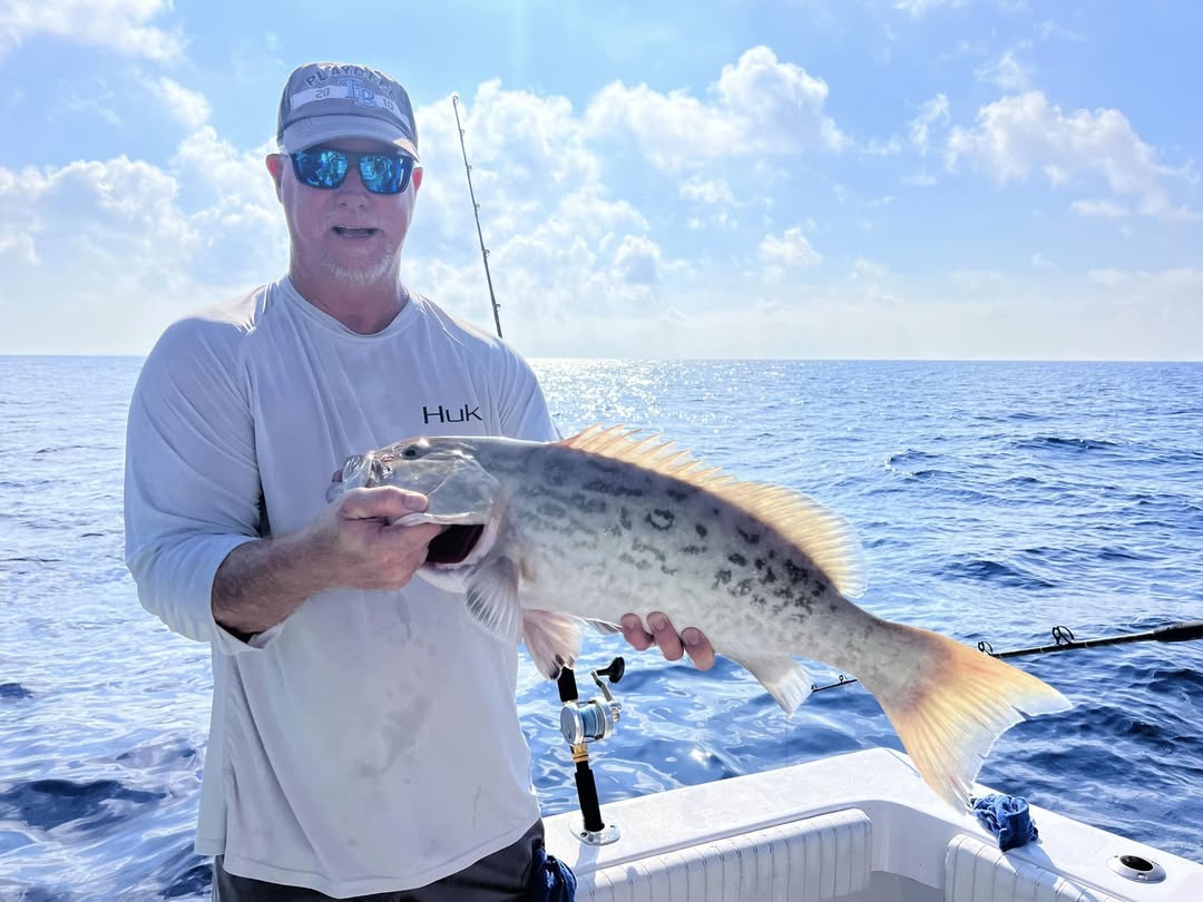 Gag grouper fish caught in FL on fishing tours