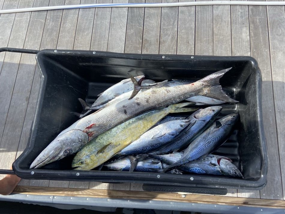 Scenic fishing trip in NC