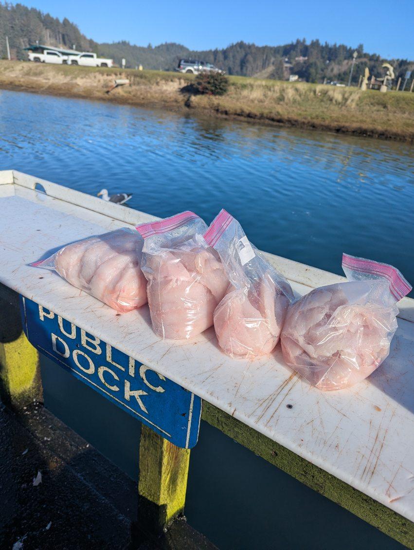 Fresh fish fillets in bags displayed on public dock cleaning station in Roseburg Oregon